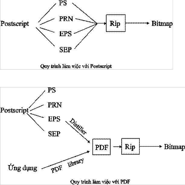 Quy trình làm việc RIP