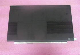 Màn hình Laptop HP RAW PANEL 16.1'INCH FHD AG UWVA NB250 (M54743-001)