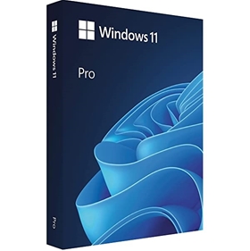 Phần mềm Win Pro 11 64Bit Eng Intl 1pk DSP OEI DVD (FQC-10528)